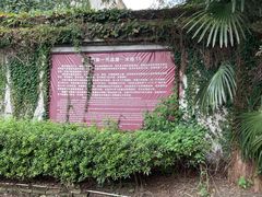 -枫泾古镇-人民公社旧址