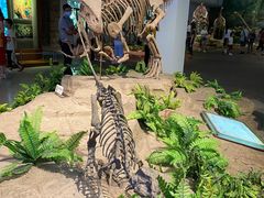 -自贡恐龙博物馆