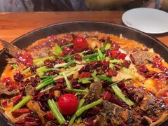 -老板恋上鱼(振华商厦店)