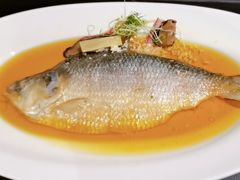 清蒸鲥鱼-美林阁