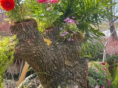 -茅山东方盐湖城景区