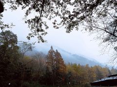 -青城山