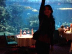 -迪拜帆船酒店海底餐厅