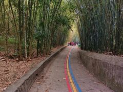 -广东茂名森林公园