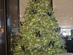 -王府半岛酒店·大堂茶座