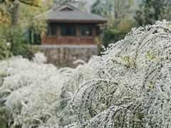 -中国茶叶博物馆(双峰馆区)