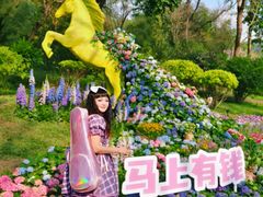 -云溪植物园