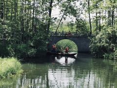 -溱湖国家湿地公园