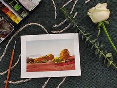 -八哥美术·成人美术画室(总校区)