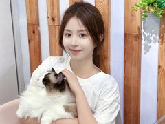 -青奢宠物·青奢猫舍