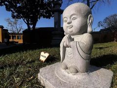 -高旻寺
