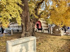 -北京石刻艺术博物馆(五塔寺)