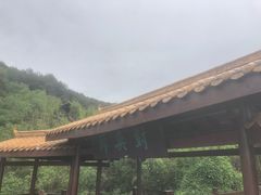 -铁山坪森林公园