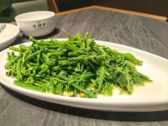 -滇铺子·云南特色菜·鲜花野菜季(曲靖万达店)