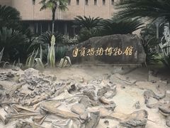 -自贡恐龙博物馆