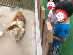 -萌宠亲子动物乐园(槐房万达店)