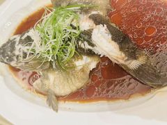 -喜来登由由大酒店九州膳坊中餐厅