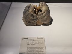 -生命奥秘博物馆