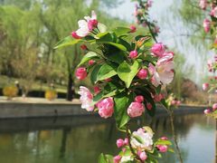 -元大都城垣遗址公园