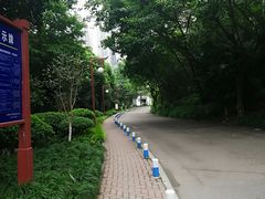 -重庆彩云湖湿地公园