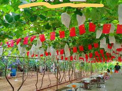 -大泽山风景名胜区