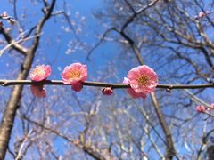 -新航道雅思托福·留学·考研培训(人民广场校区)