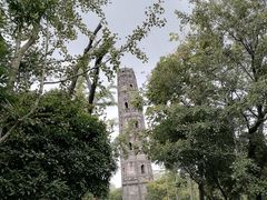 -上海佘山国家森林公园天马山园