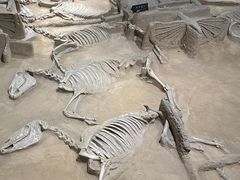 -洛阳周王城天子驾六博物馆