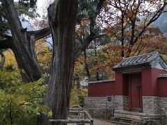 -北京上方山国家森林公园
