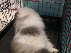 -首开·龙湖成都西宸天街