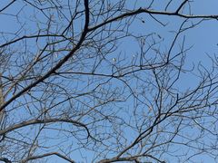 -祥源·阜阳生态乐园