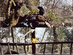 -青城山