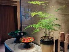 -新偶像健康汇•水疗SPA•豪华自助餐(世界城店)