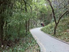 android_upload_pic-富乐山