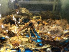 -蟹之国·精品蟹料理(极地店)