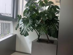 -枕水江南(铁西万象汇店)