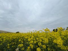 -中国天府农业博览园