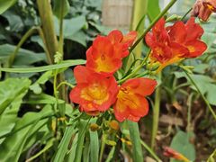 -国家植物园南园