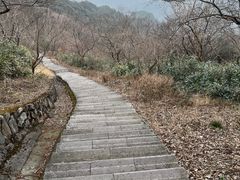 -北仑森林植物园