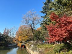 -狼山风景名胜区