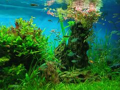 -太平洋海底世界