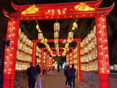 -欢乐海岸椰林沙滩-2025湾区超级灯会