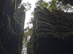 -梭布垭石林景区