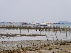 -罗源湾8号渔排