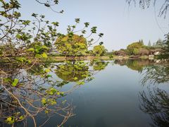 -尚湖风景区