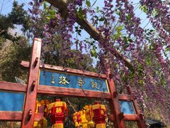 -红螺寺
