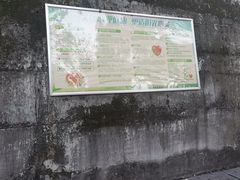 -金鸡山公园
