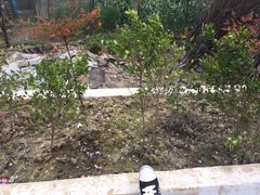-桐乡植物园