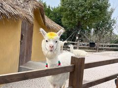 -珠海海泉湾神秘岛亲子乐园