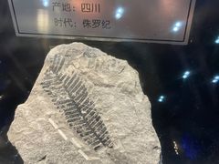 -国家自然博物馆